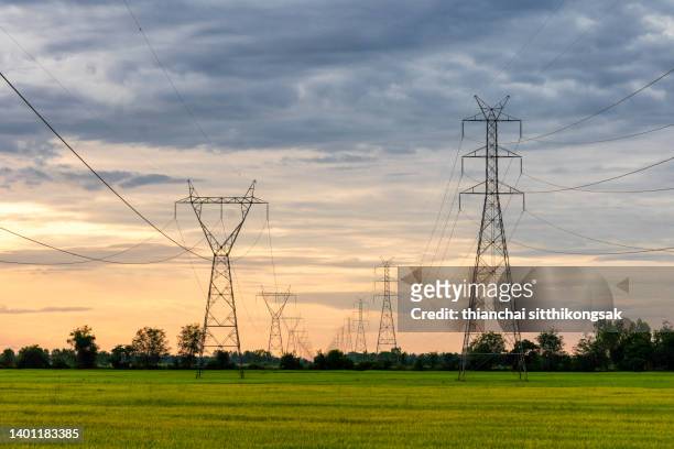 large pylons with power lines stretching - cavo dell'alta tensione foto e immagini stock