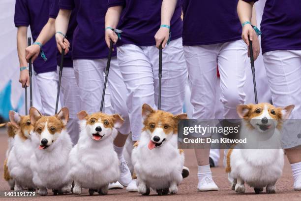 Puppet corgi dogs are walked during The Platinum Pageant on June 05, 2022 in London, England. The Platinum Jubilee of Elizabeth II is being...