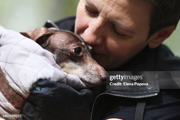 young adult woman caring and kissing disabled dachshund dog at the street - cute girlfriends stock-fotos und bilder