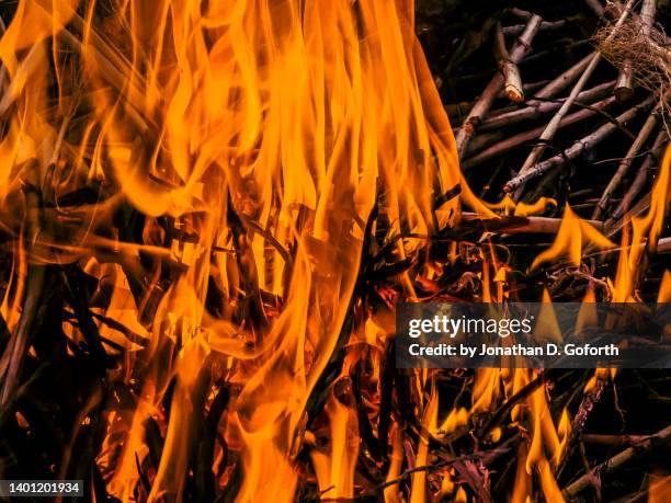 11,733 Raging Fire Stock Photos, High-Res Pictures, and Images - Getty ...