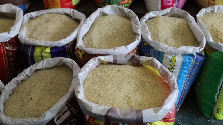 Assorted Brais Rice 134 Rice Types Stock Videos, Footage, & 4K Video Clips - Getty Images