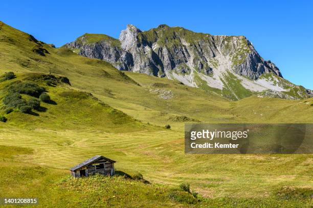landscape in the mountains - vorarlberg imagens e fotografias de stock