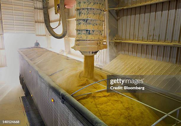 Distilers Lorry 43 Dried Distillers Grains Stock Photos, High-Res Pictures, and Images ...