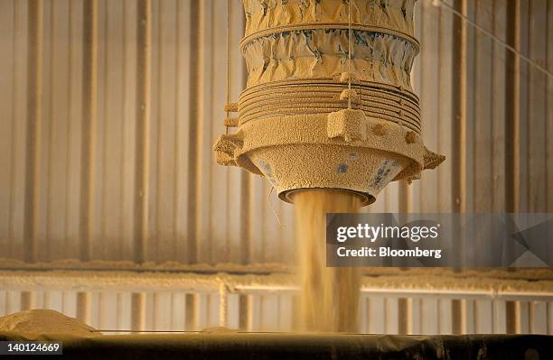 Distilers Lorry 38 Dried Distillers Grains Stock Photos, High-Res Pictures, and Images ...
