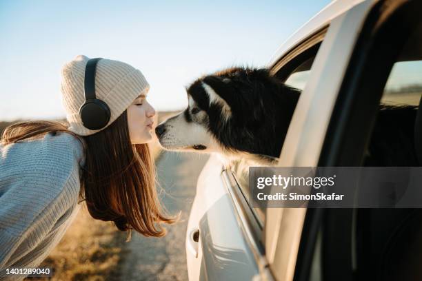 close up of young woman kissing a dog - dog in car window stock pictures, royalty-free photos & images