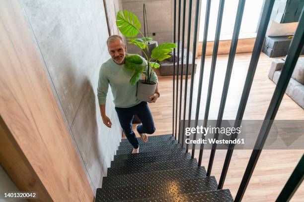 smiling man holding potted plant moving up on staircase at home - treppenhaus stock-fotos und bilder