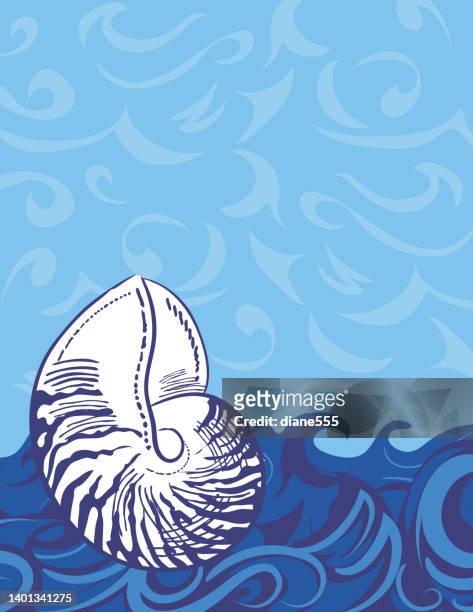 stockillustraties, clipart, cartoons en iconen met nautical ocean background template with a  nautilus shell - crustacean