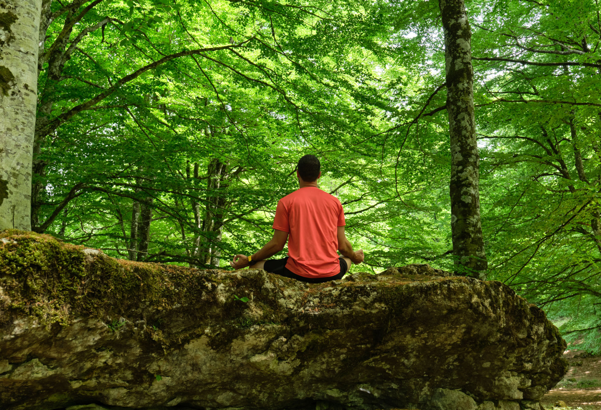 meditación naturaleza