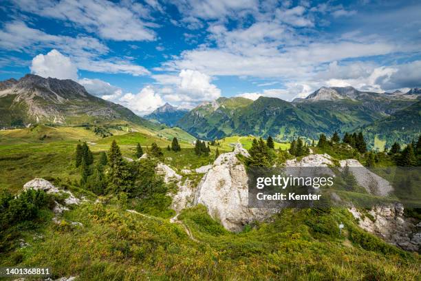 aerial view of the alps - lech stock pictures, royalty-free photos & images
