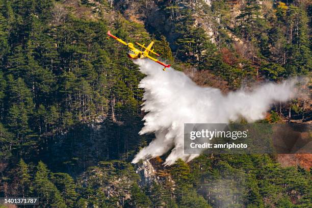 firefighting aircraft dropping water over forest fire - forest fire plane stock pictures, royalty-free photos & images