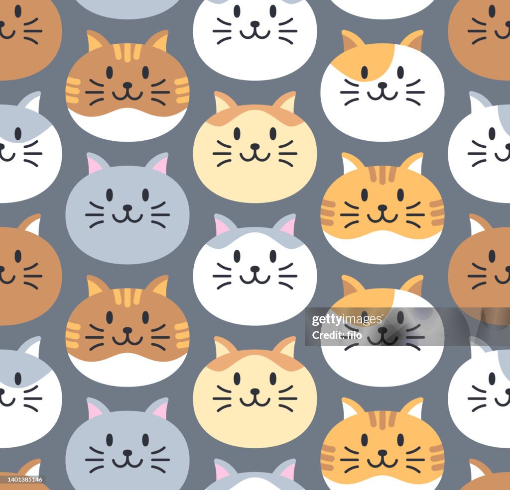 Katze Haustier Katze Gesicht Nahtloses abstraktes Hintergrundmuster