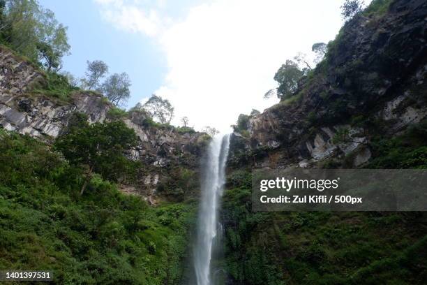 low angle view of waterfall in forest,malang,indonesia - zul kifli stock-fotos und bilder