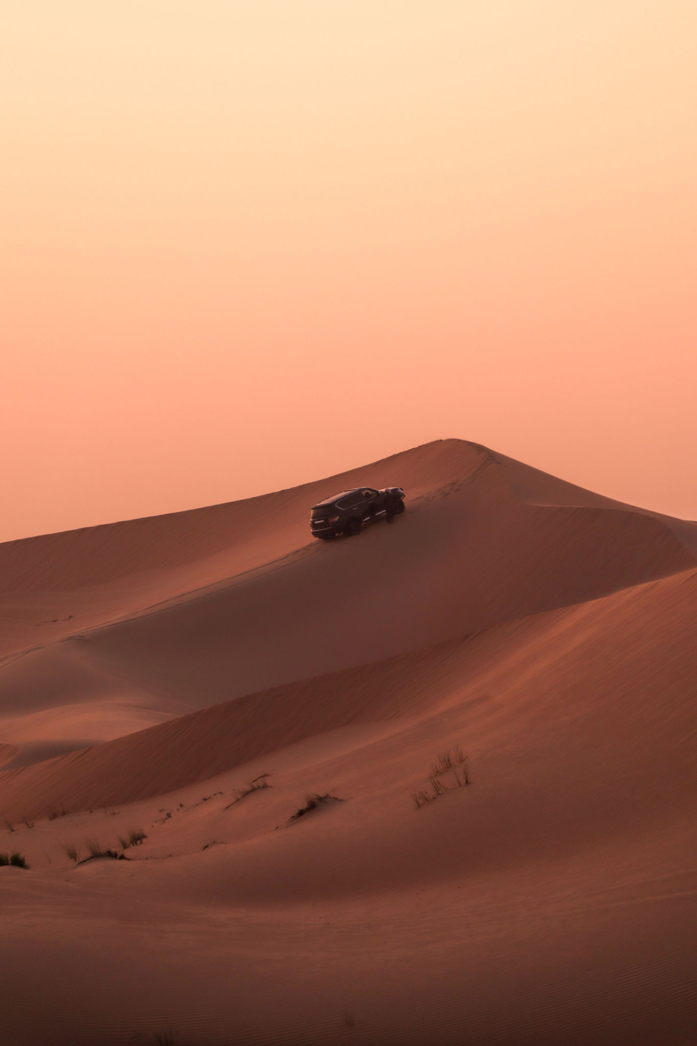dubai desert safari dubai desert safari