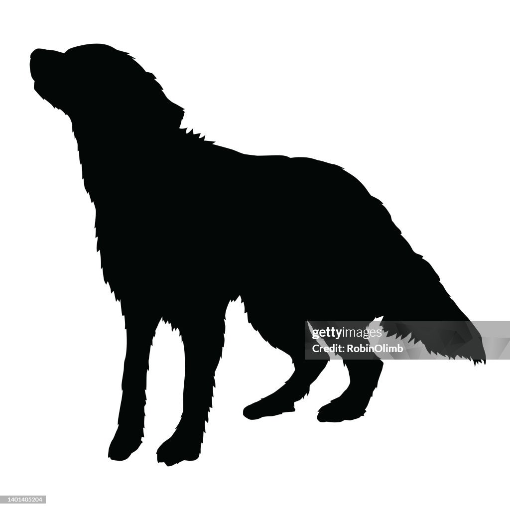 Golden Retriever silueta