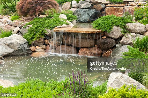 backyard waterfall - water garden stock pictures, royalty-free photos & images