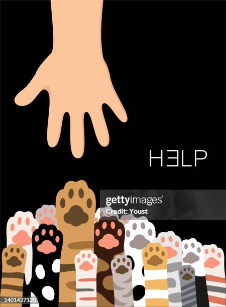extend a helping hand to animals - undomesticated cat stock illustrations