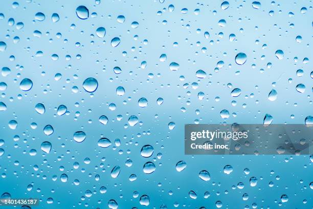 rain drops on the window - condensation stock pictures, royalty-free photos & images