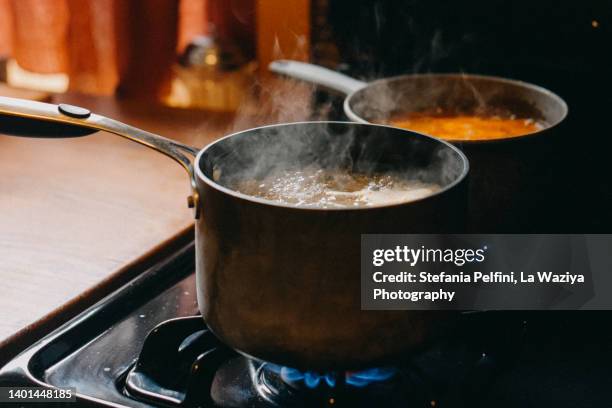 soup boiling in cooking pans on gas burning stove - pot imagens e fotografias de stock