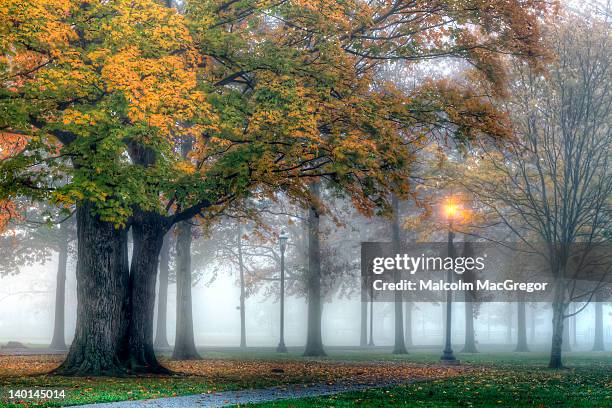 foggy fall morning - murfreesboro stock-fotos und bilder