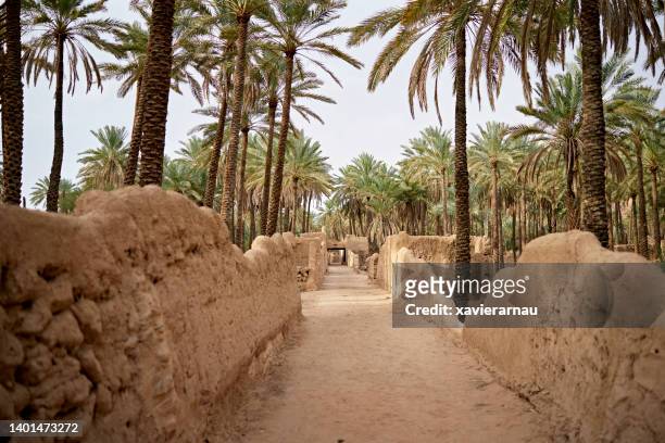 al-ula heritage trail in desert oasis, saudi arabia - saudi arabia national day stock pictures, royalty-free photos & images
