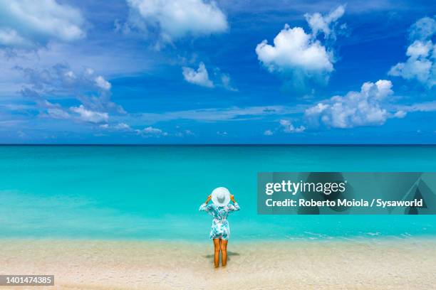 beautiful woman with hat sunbathing in the caribbean sea - ankle deep in water bildbanksfoton och bilder