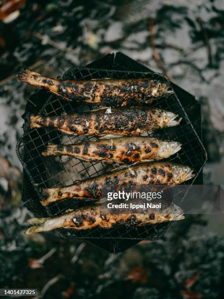 freshly caught freshwater fish on bbq - grilled fish stock pictures, royalty-free photos & images