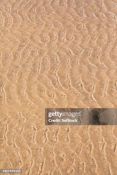 calm waters - rippled sand stock pictures, royalty-free photos & images