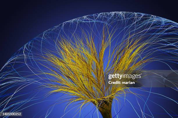 Neuroscience Pattern 654 Neuroscience Pattern Stock Photos, High-Res Pictures, and Images ...