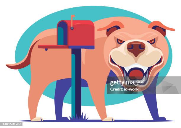 angry dog standing behind mailbox - strong pitbull stock illustrations