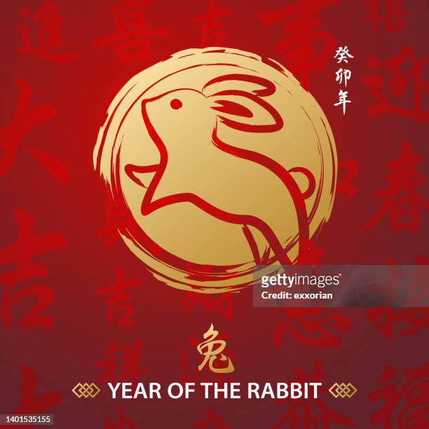 jahr der chinesischen hasenmalerei - kung hei fat choi stock-grafiken, -clipart, -cartoons und -symbole