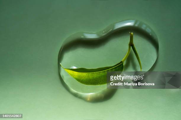 a drop of cosmetic gel or serum with a leaf on a green background. - aromatherapy oil stock pictures, royalty-free photos & images