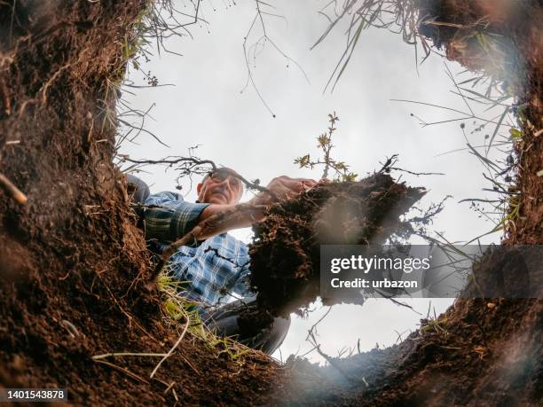 senior man planting a tree in a ground hole - bury stock pictures, royalty-free photos & images