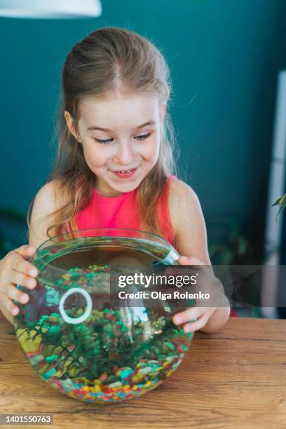 little blond girl showing her aquarium with fish to camera, focused on pet indoors - pferdekopf stock-fotos und bilder