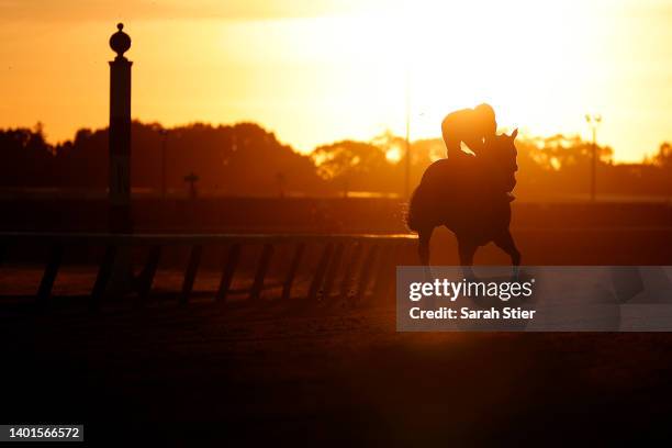 Horse and exercise rider train on the track during a morning workout prior to the 154th running of the Belmont Stakes at Belmont Park on June 07,...