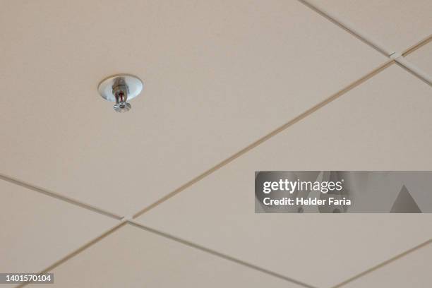 wet pipe fire sprinkler system - fire sprinkler stock pictures, royalty-free photos & images