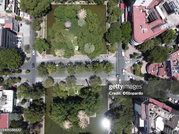 shot above the lincoln park in polanco mexico city - chapultepec park - fotografias e filmes do acervo