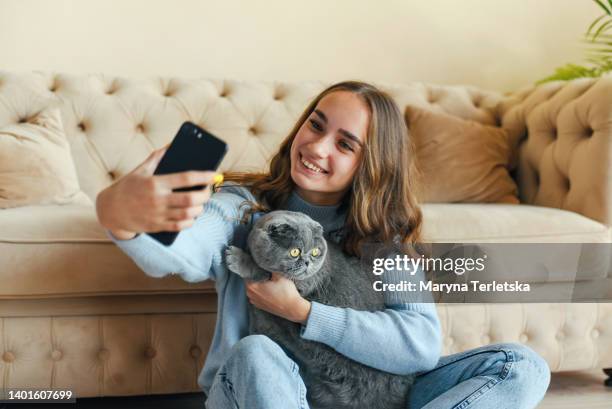 young beautiful girl with a pet cat. british fold gray cat. - cat selfie stock pictures, royalty-free photos & images