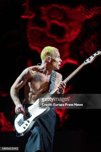 Electric bassist Flea performs during a concert by rock band Red Hot Chili Peppers at the Estadi Olimpic de Barcelona on June 7 in Barcelona,...