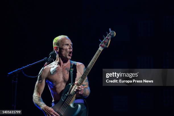 Electric bassist Flea performs during a concert by rock band Red Hot Chili Peppers at the Estadi Olimpic de Barcelona on June 7 in Barcelona,...