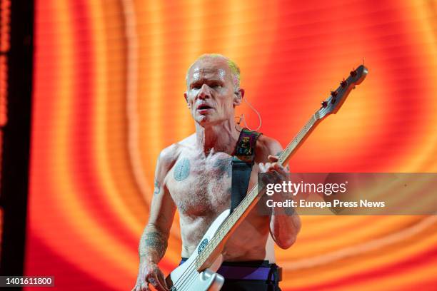 Electric bassist Flea performs during a concert by rock band Red Hot Chili Peppers at the Estadi Olimpic de Barcelona on June 7 in Barcelona,...