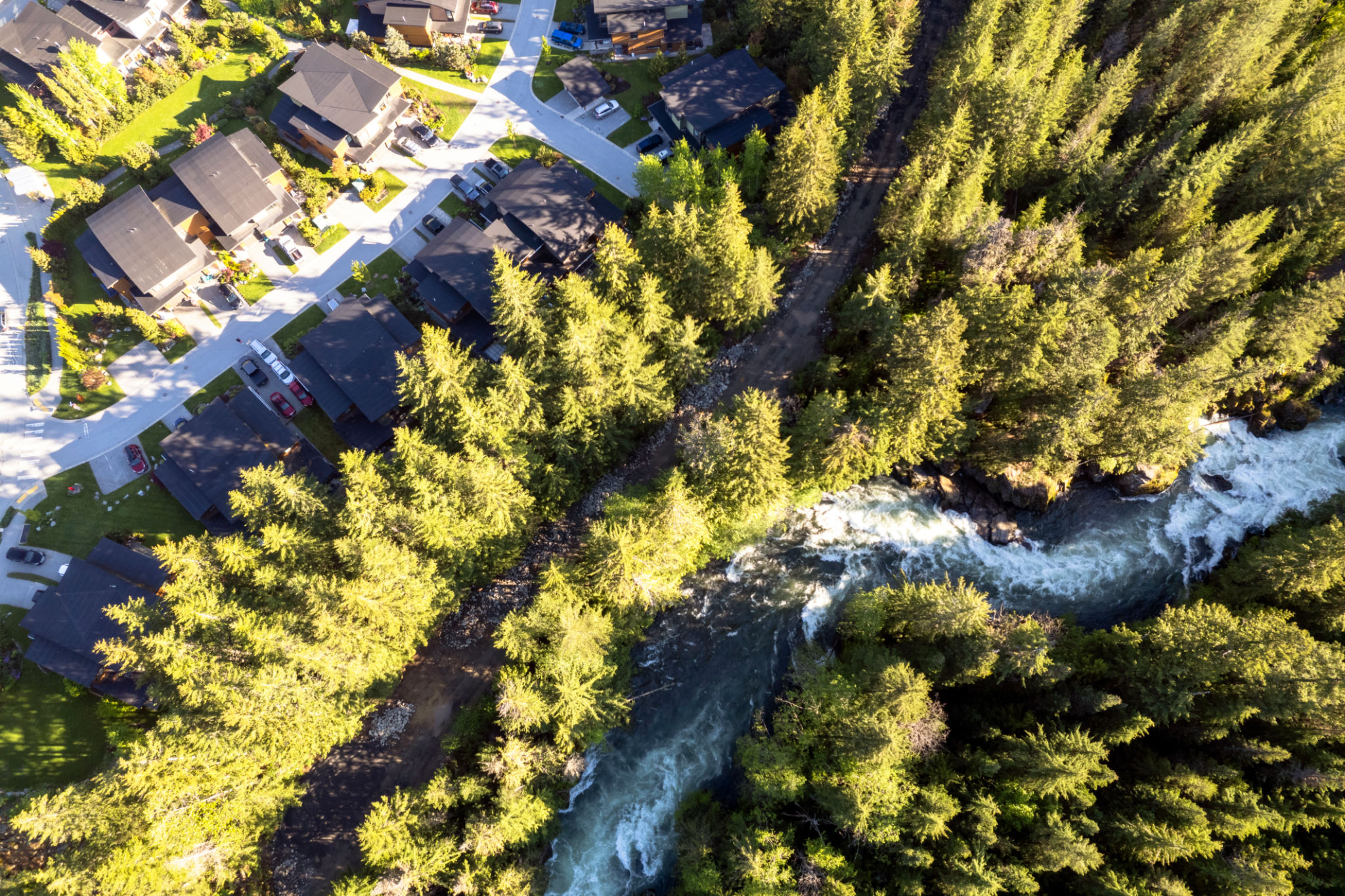 river forest streets