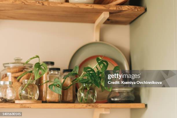 kitchen shelves with various white ceramic and glass jars. open shelves in the kitchen. kitchen interior ideas. eco friendly kitchen, zero waste home concept - kitchen wall stock-fotos und bilder