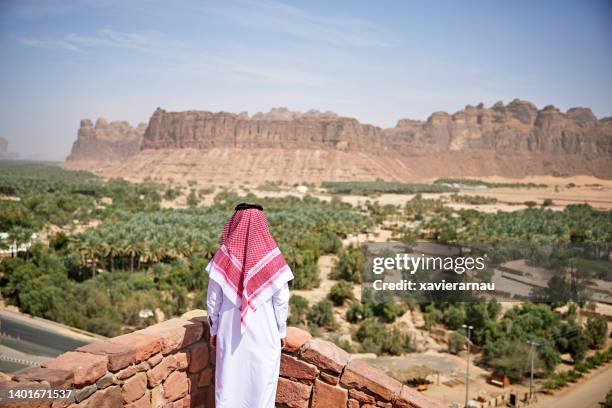 saudi man looking at view of al-ula valley - al ula saudi arabia stockfoto's en -beelden