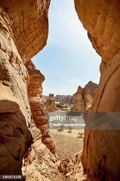 naturally eroded jar rock in al-ula valley, saudi arabia - al ula saudi arabia stockfoto's en -beelden