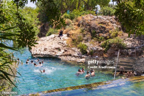 gan hashlosha, israel - piscina natural de água quente - parque nacional, vale beit shean - terra em estado natural - fotografias e filmes do acervo