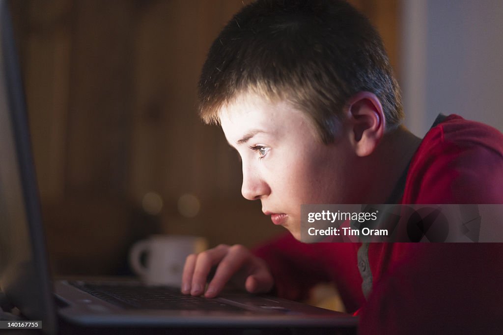 Boy on computer at home