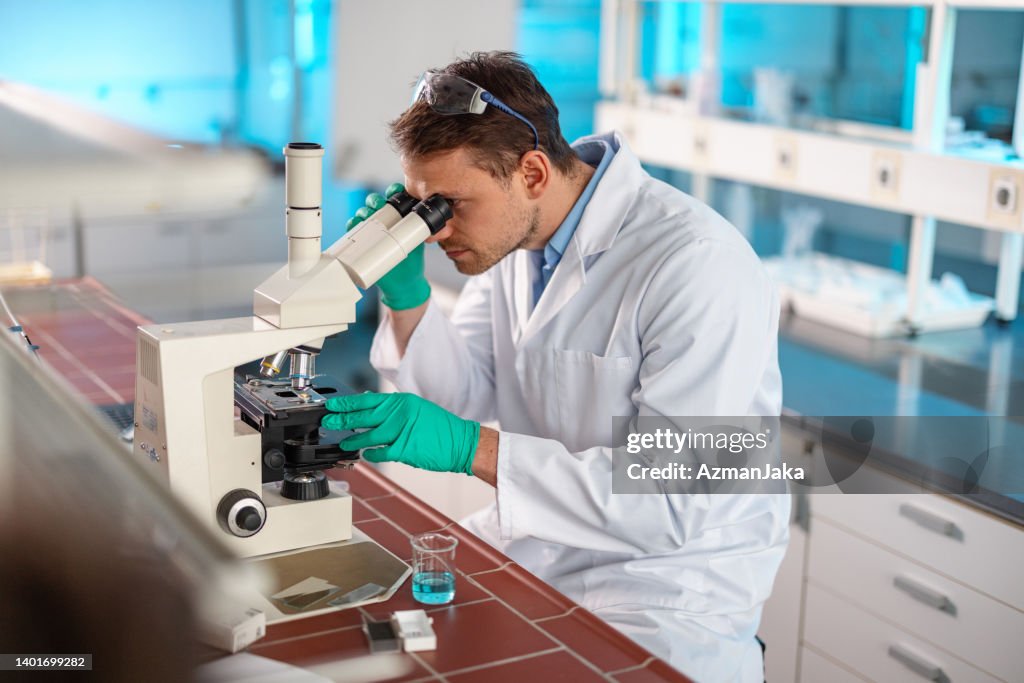 Male Scientist Using Microscope Caucasian Male Scientist Using A Microscope In Laboratory High-Res ...