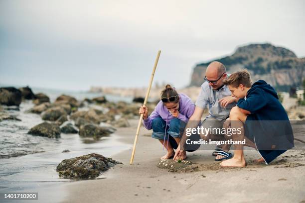 vater und kinder im teenageralter, die an einem strand spazieren gehen - boy exploring on beach stock-fotos und bilder