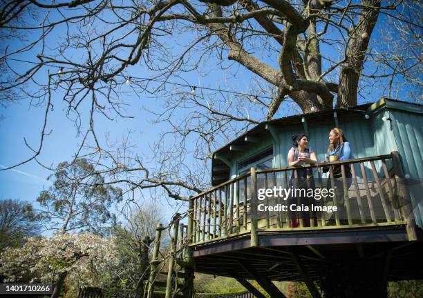 young women friends talking on sunny tree house balcony - sevenoaks stock pictures, royalty-free photos & images