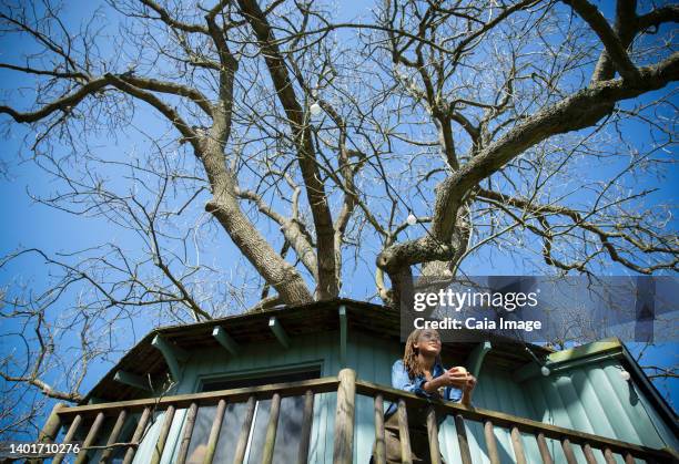 young woman drinking coffee on sunny tree house balcony - セブンオークス ストックフォトと画像